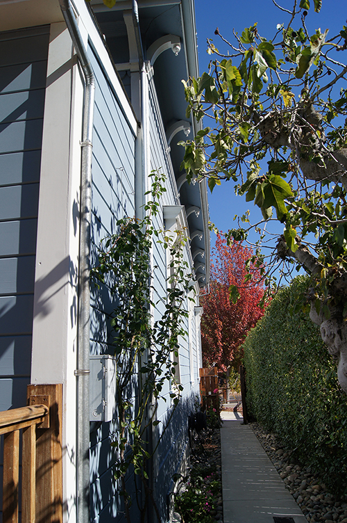 A narrow Victorian sideyard.